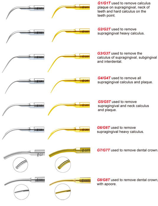 10Pcs Dental Ultrasonic Piezo Scaler Tip G2